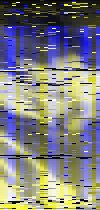 mtvza_rgb_443_(AMSU_221_equivalent).png